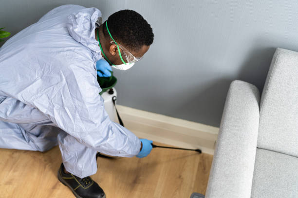 Best Bed Bug Extermination  in New Brockton, AL